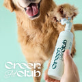 Innisfree Green Pet Club Waterless Paw Cleanser (150ml)