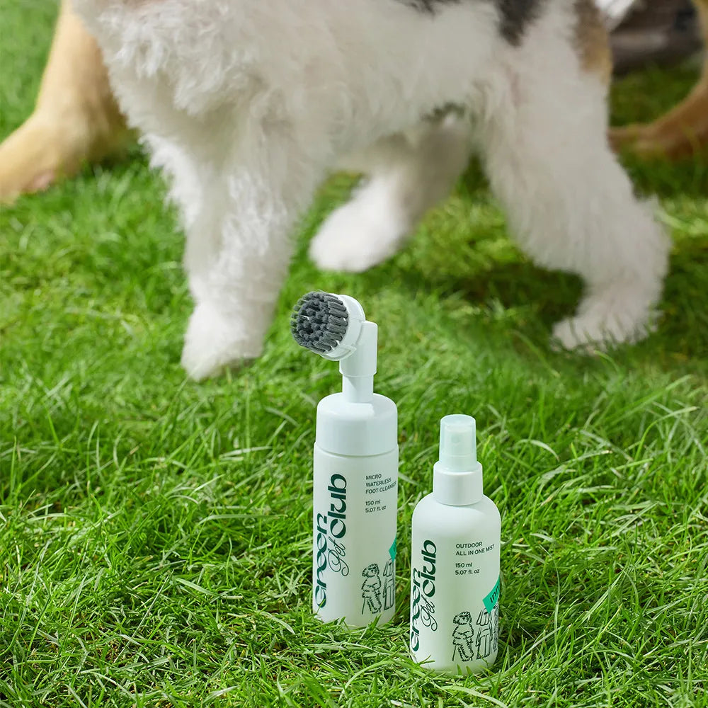 Innisfree Green Pet Club Waterless Paw Cleanser (150ml)