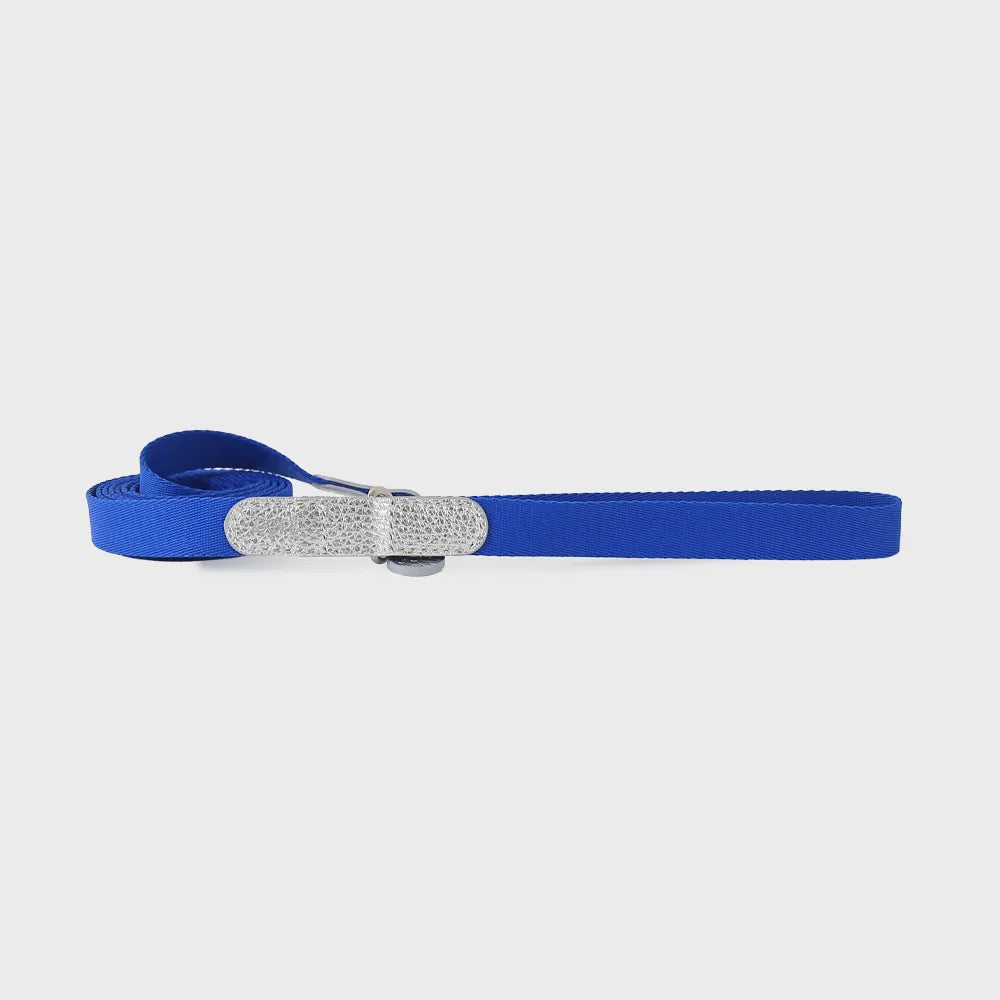 GOPE Metallic Dog Leash (Silver Blue)