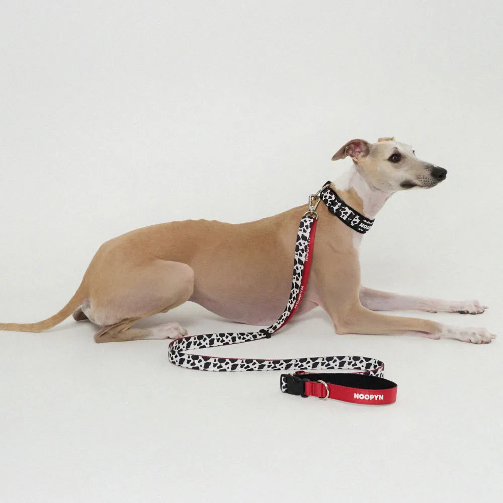 NOOPYN Lock Cushioning Safe Collar &amp; Hands-Free Leash Set