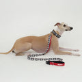 NOOPYN Lock Cushioning Safe Collar &amp; Hands-Free Leash Set