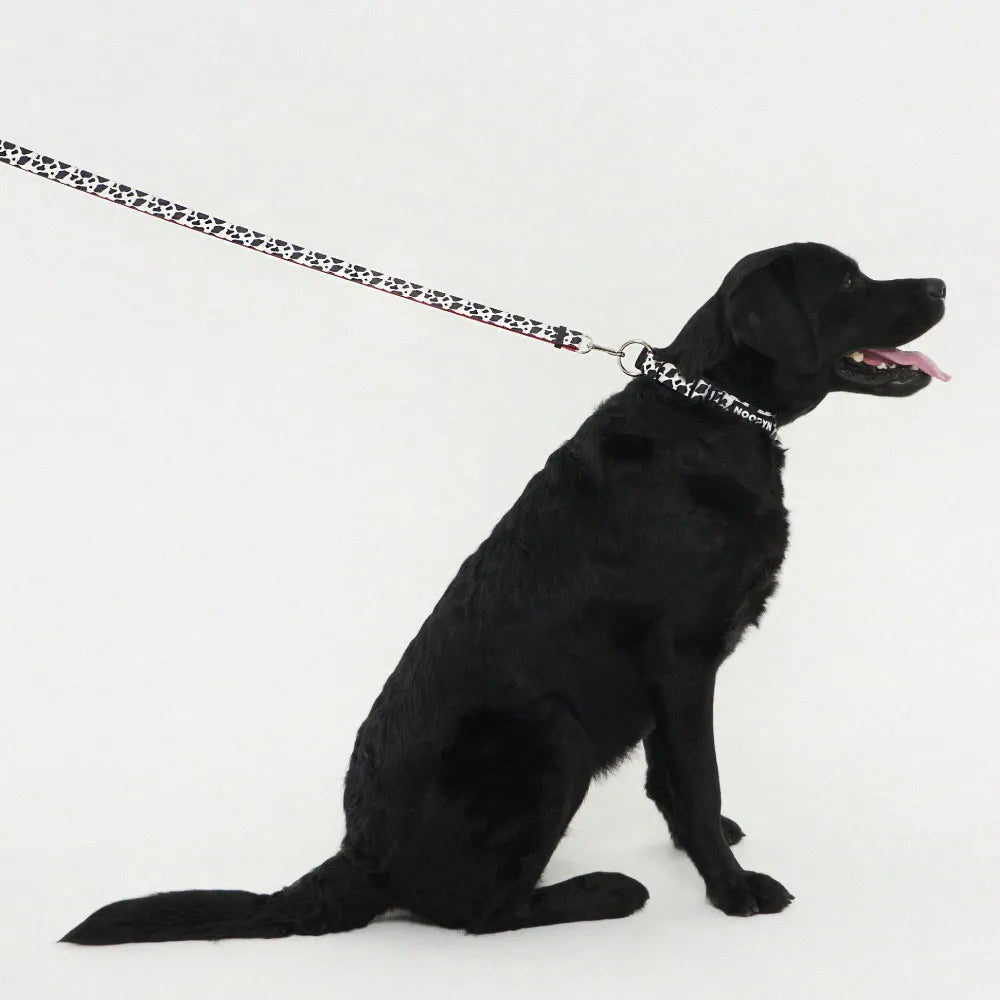 NOOPYN Lock Cushioning Safe Collar &amp; Hands-Free Leash Set