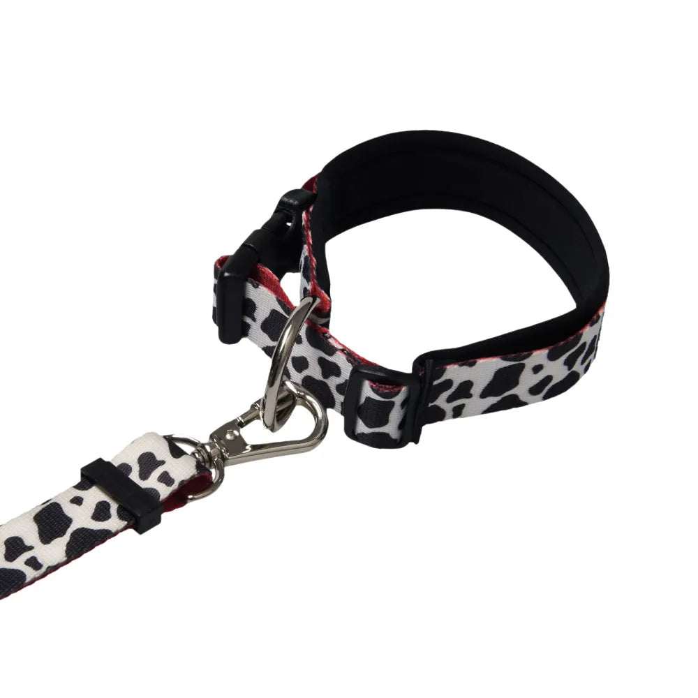 NOOPYN Lock Cushioning Safe Collar &amp; Hands-Free Leash Set