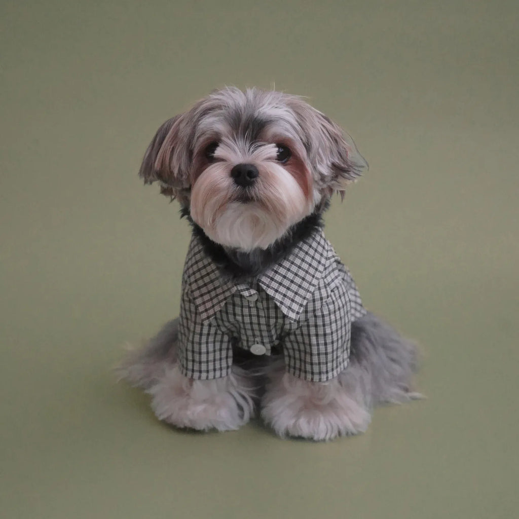 TOGETHERING Vintage Check Shirt (Ivory)