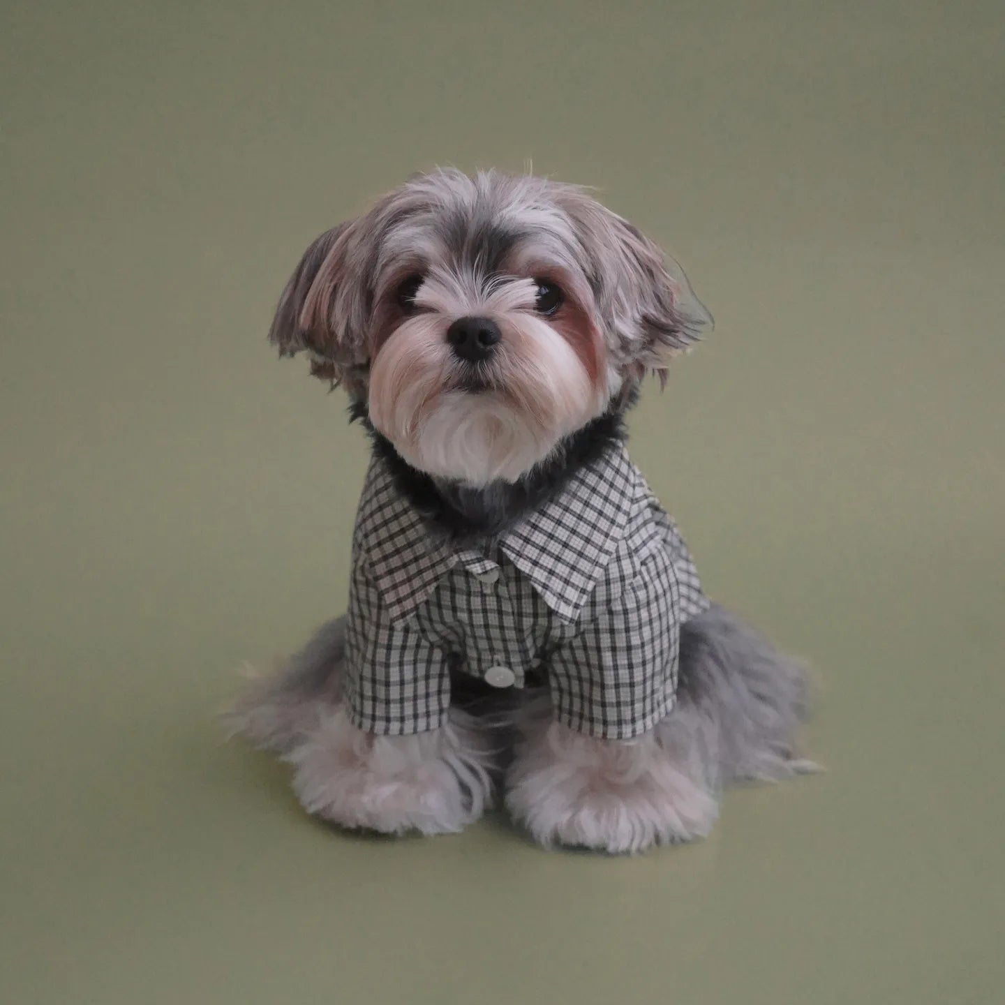 TOGETHERING Vintage Check Shirt (Ivory)