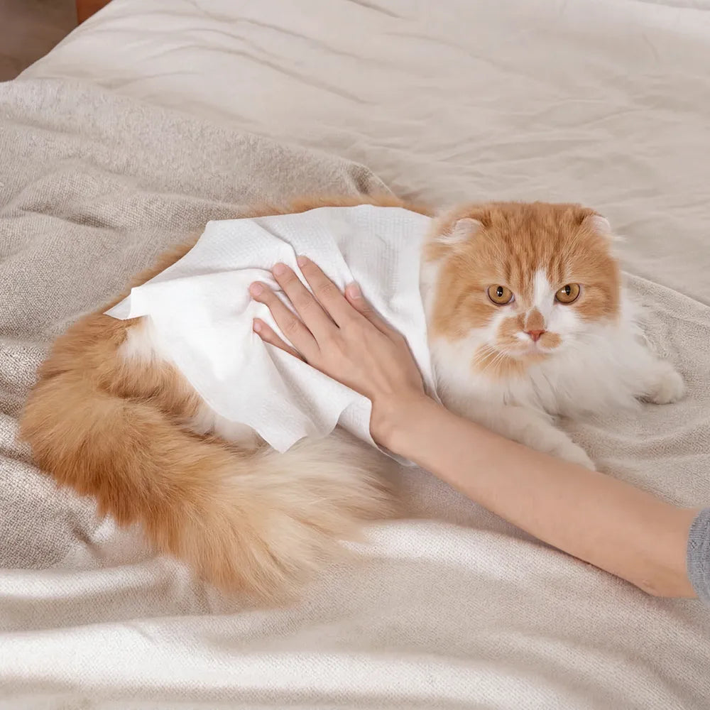 HURRAY Giant Paper Pet Bath Wipes