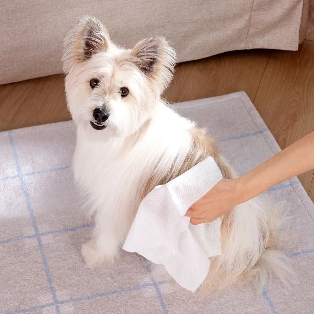 HURRAY Giant Paper Pet Bath Wipes