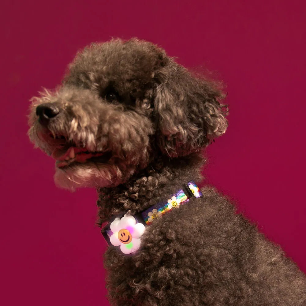 WIGGLE WIGGLE Smile We Love LED Night Walk Pendant
