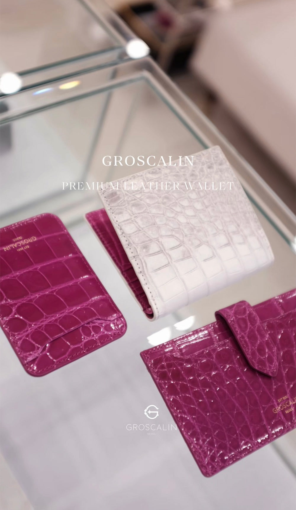 GROSCALIN Crocodile Leather Compact Organizer C-Wallet (Himalaya)