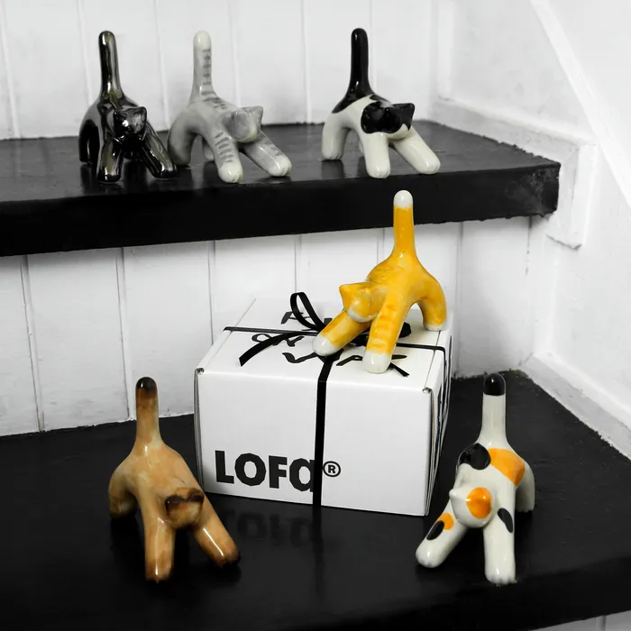 Instant Wise Cat Ceramic Object (Gift Set)