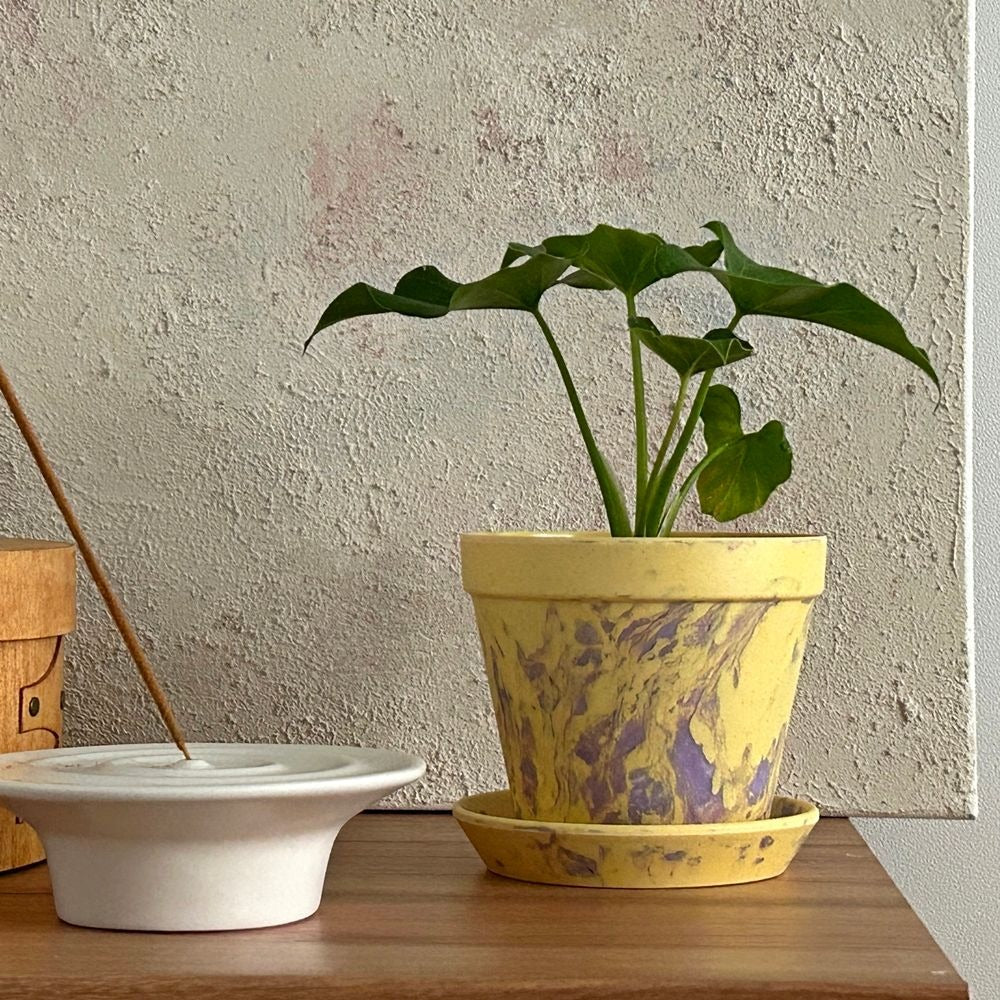 [Elegant Table] La Siesta Upcycling Plant Pot (S Size, 4 Colors)